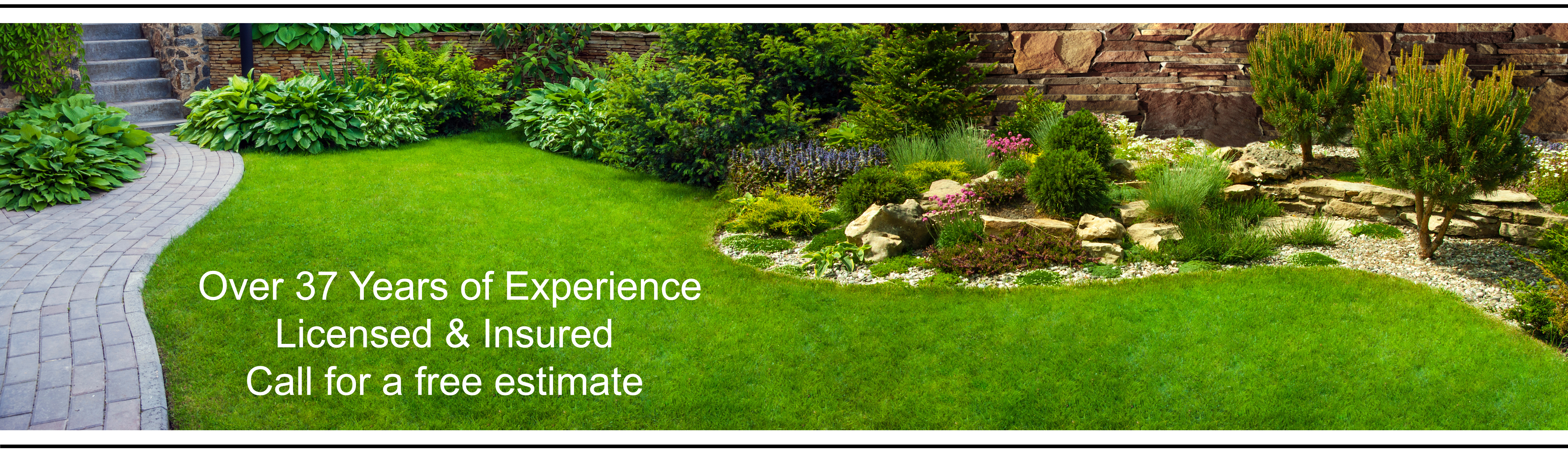 Landscaped Yard